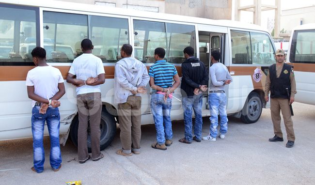 1395208_524931437602899_1550810834_n