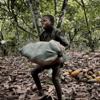 2281dc5b-c558-43fc-9e16-92e3f9d53904