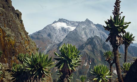 One of Rwenzoris summits in Uganda.