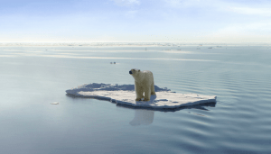 polar-bear-iceberg-id_723844.jpg